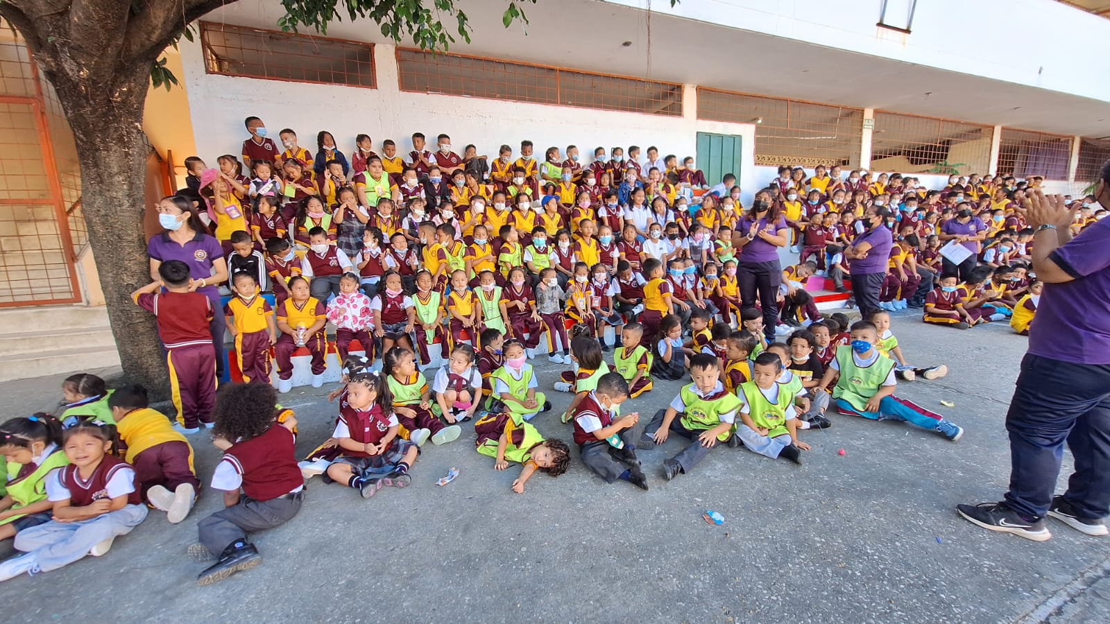 Actividad